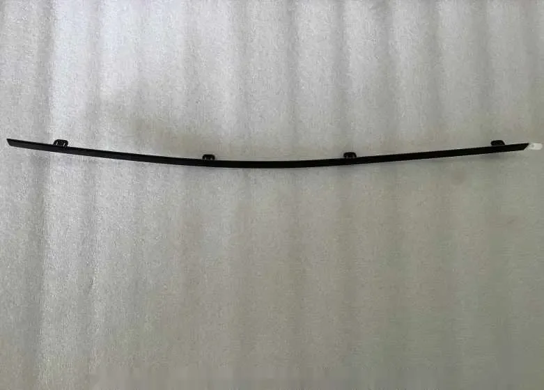 زه در عقب راست بی وای دی Dolphin EV – 13235176-00
