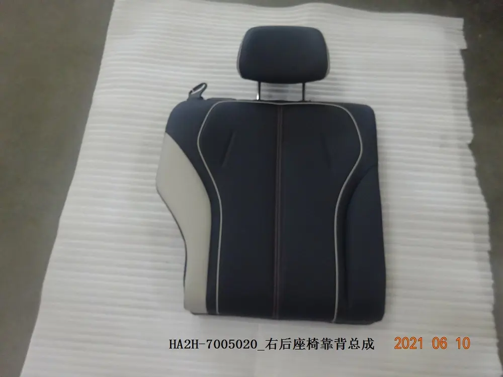 پشتی صندلی عقب راست بی وای دی Qin Plus DM-i/EV – 13127309-00